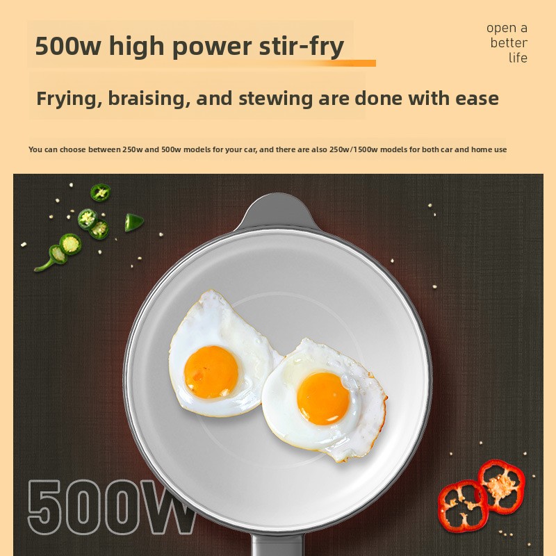 Dual-Use 24V High Power Electr - Hot Pot Portable Dual recension och pris