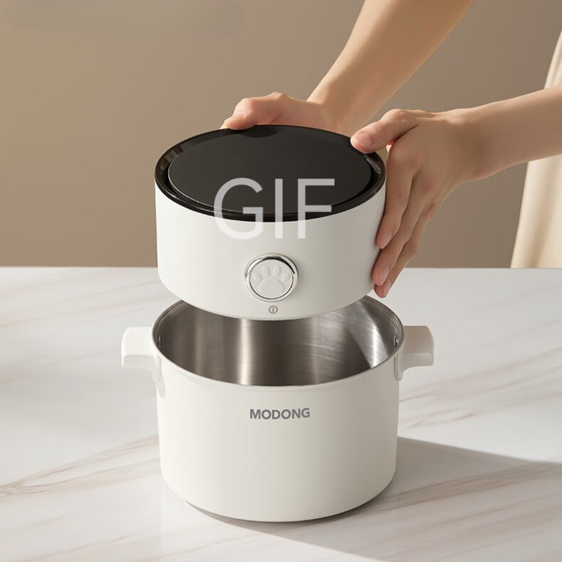 2L Dual Voltage 110V 220V Elec - Hot Pot Portable Dual recension och pris
