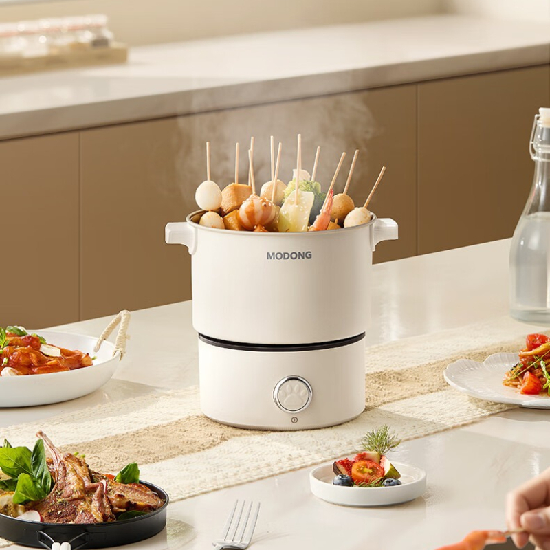 2L Dual Voltage 110V 220V Elec - Hot Pot Portable Dual recension och pris