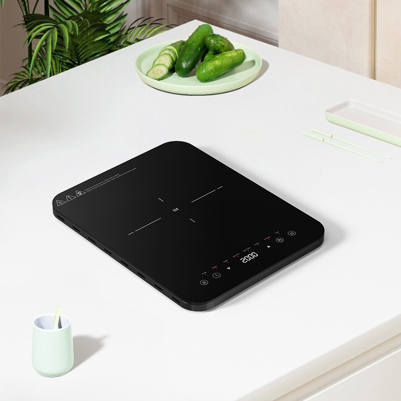 Dual heat dissipation inductio - Hot Pot Portable Dual recension och pris