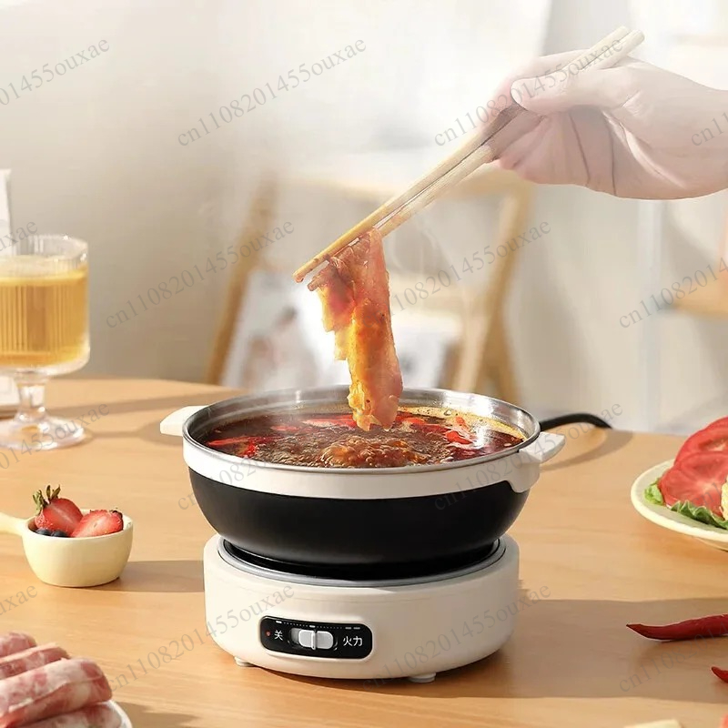 220V Portable Split Multi Cook - Hot Pot Portable Dual recension och pris