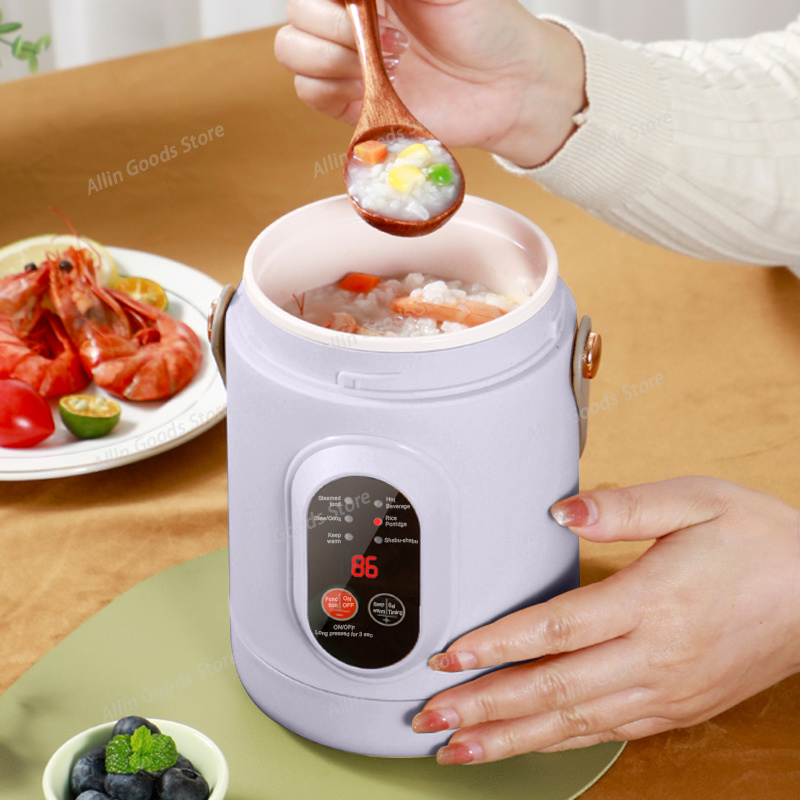 Portable Multifunctional Mini  - Hot Pot Portable Dual recension och pris