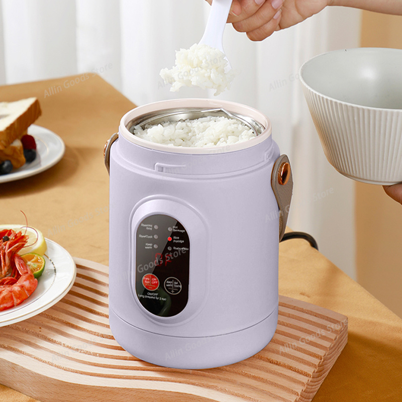 Portable Multifunctional Mini  - Hot Pot Portable Dual recension och pris